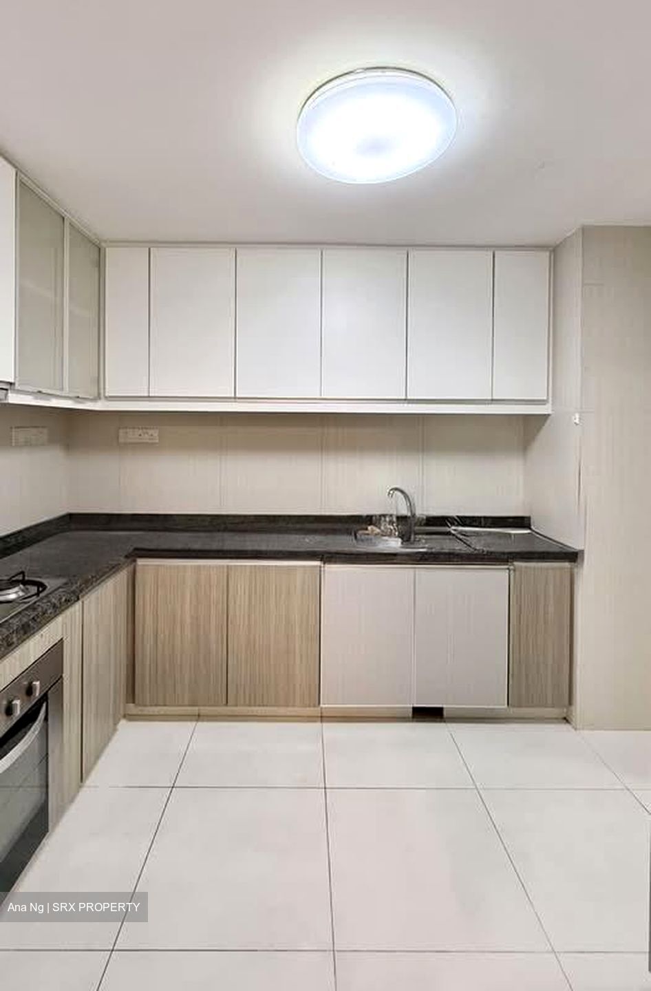 The Metropolitan Condominium (D3), Condominium #558546291